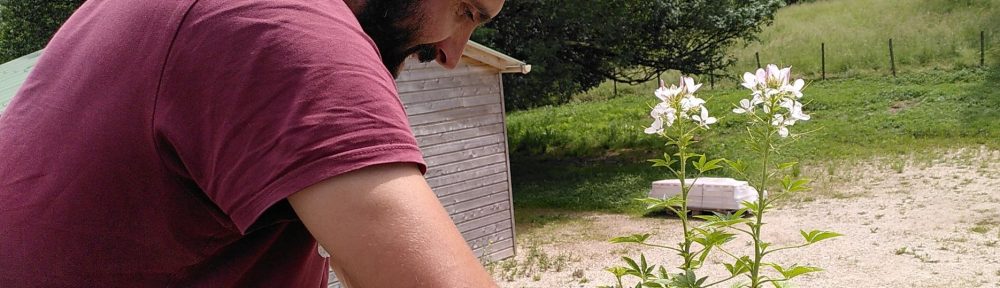 Votre jardinier