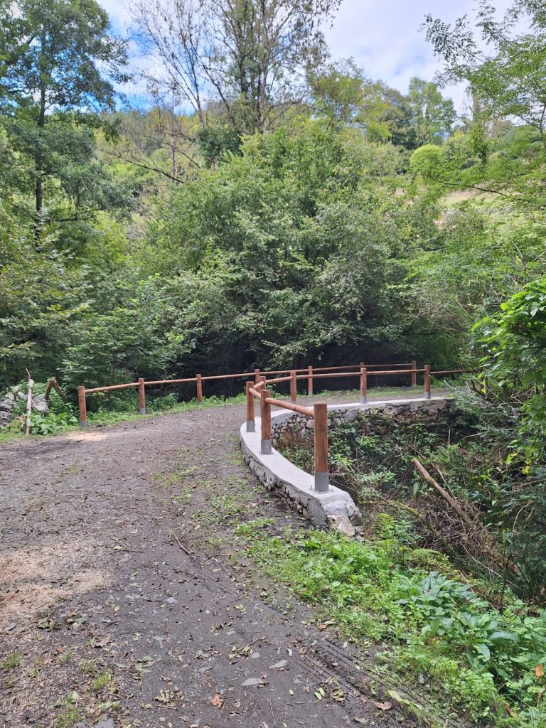 Clôture en bois